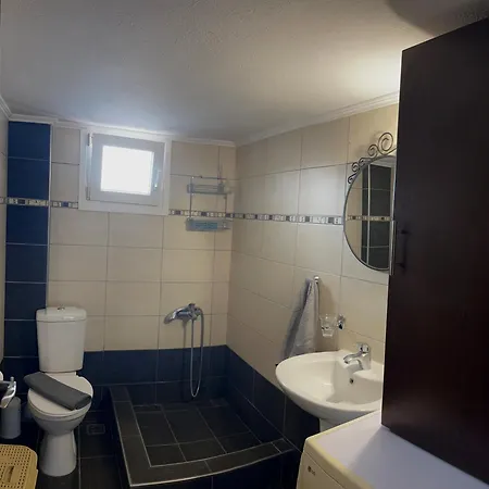 Vicky's House Олимпиада