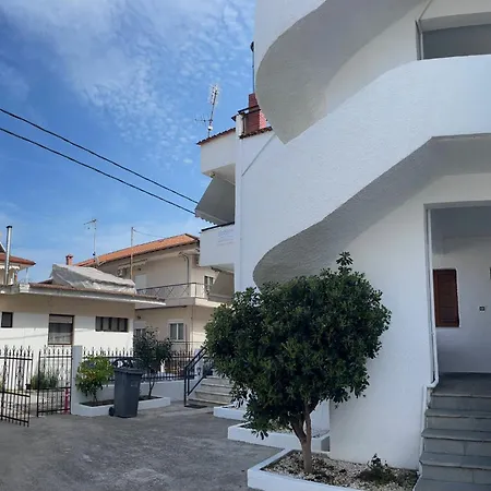Vicky's House