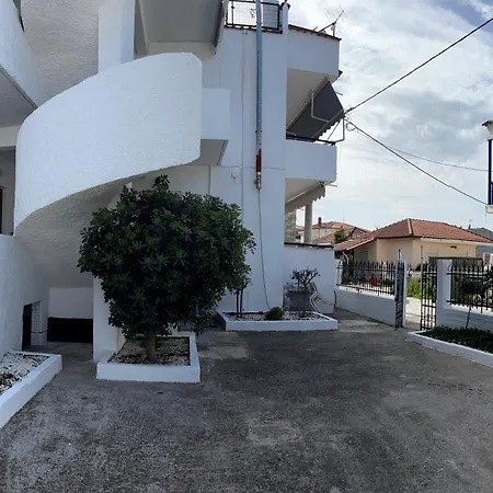 Vicky's House Olympiada